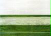 andreas gursky